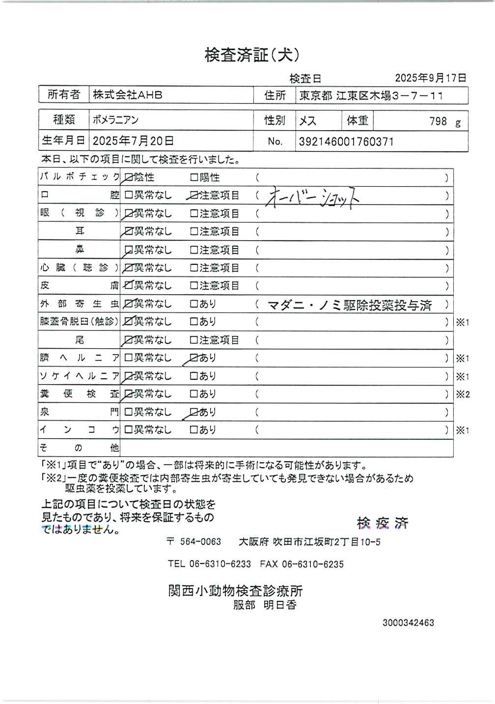 ポメラニアン