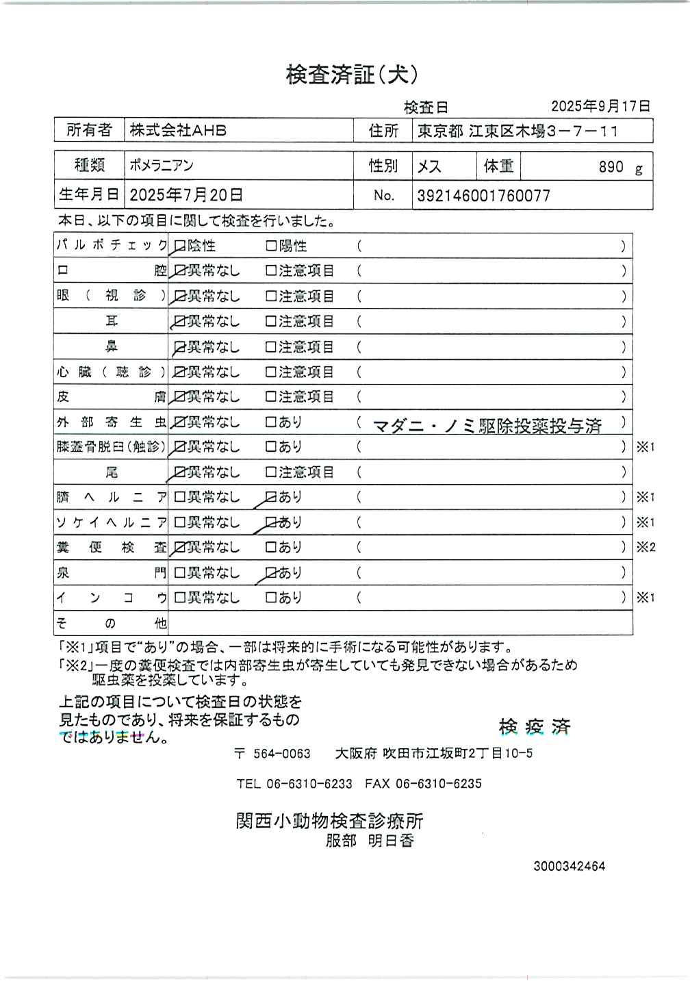 ポメラニアン