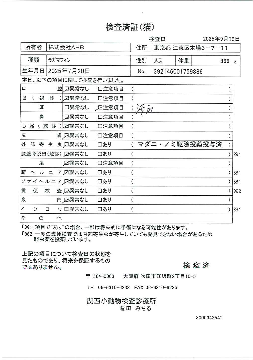 ラガマフィン
