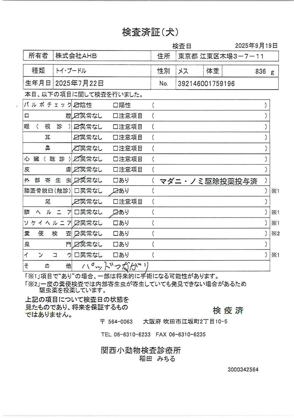 トイ・プードル
