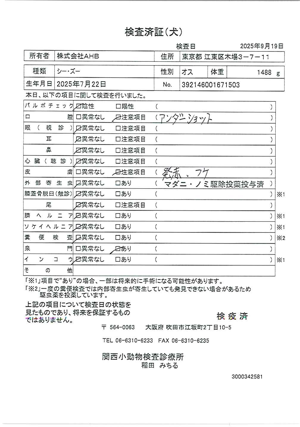 シー・ズー