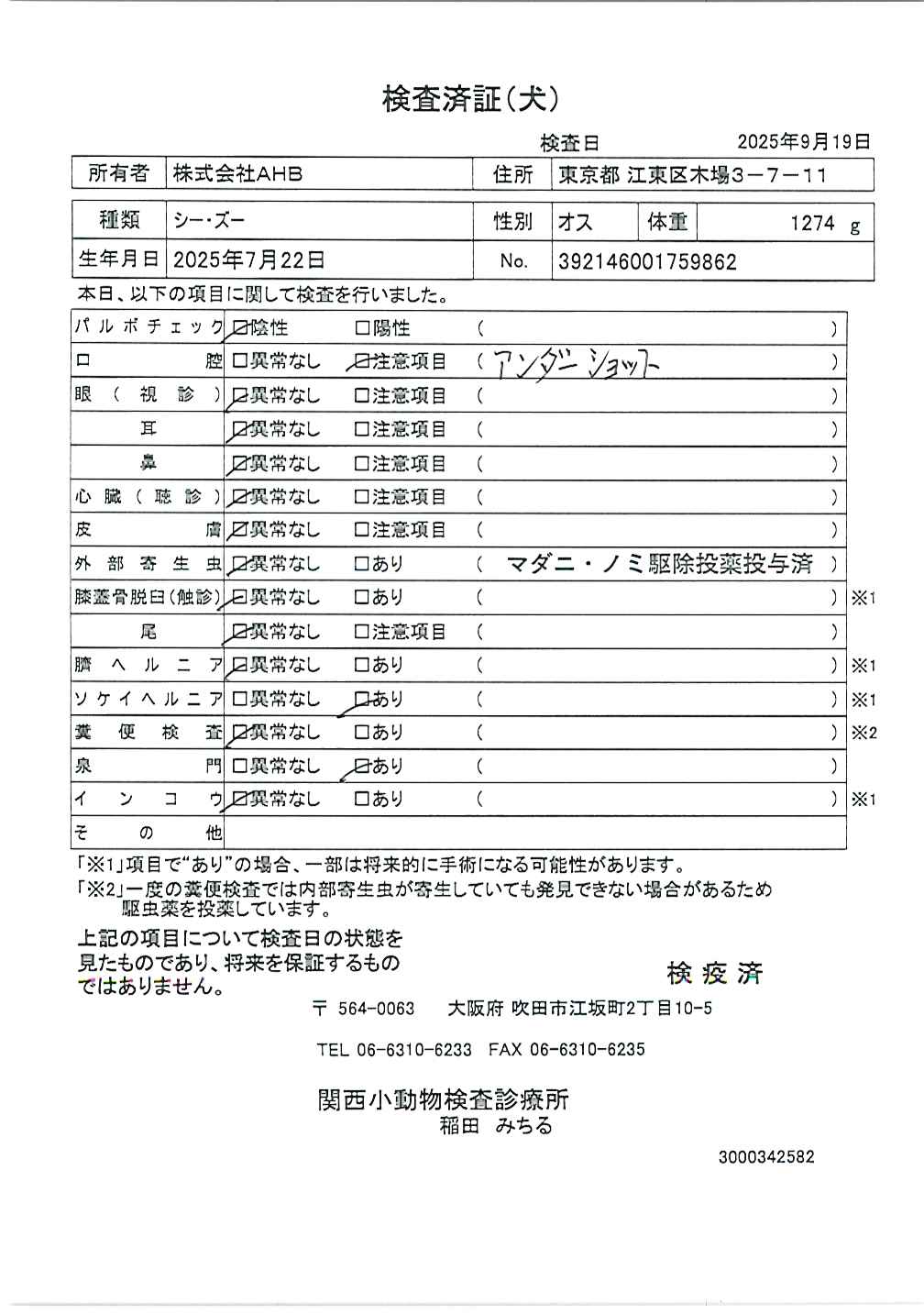 シー・ズー
