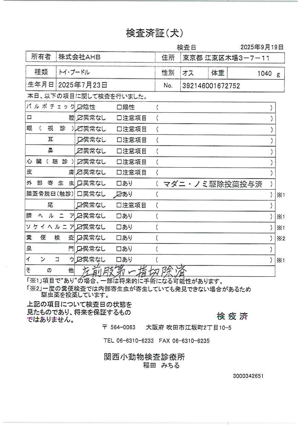 トイ・プードル