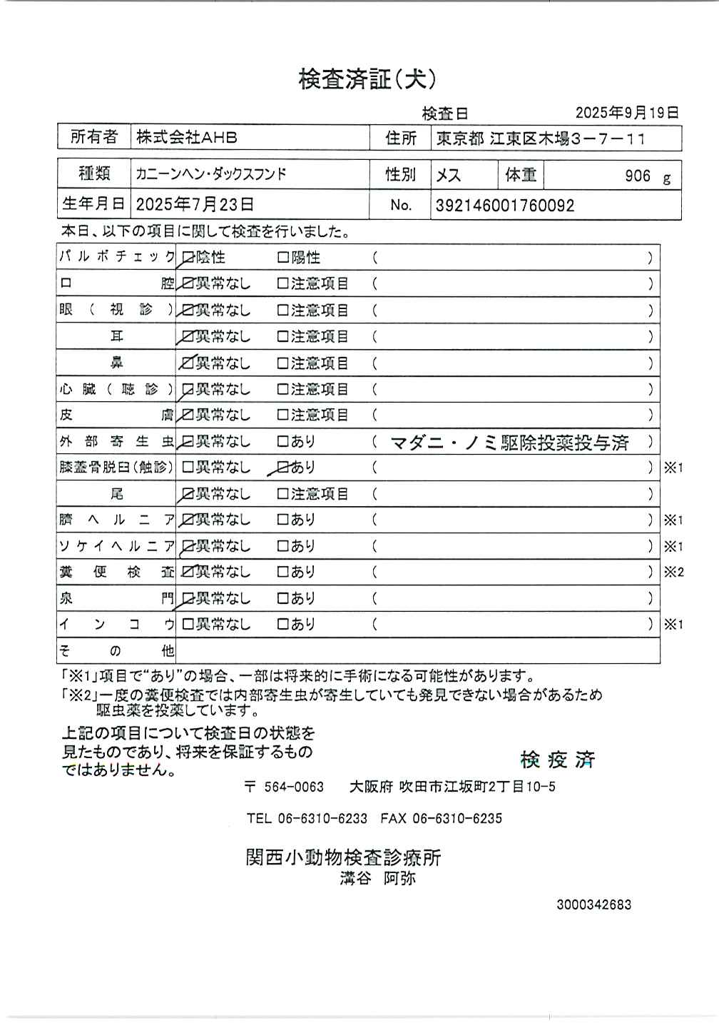 カニーンヘン・ダックスフンド