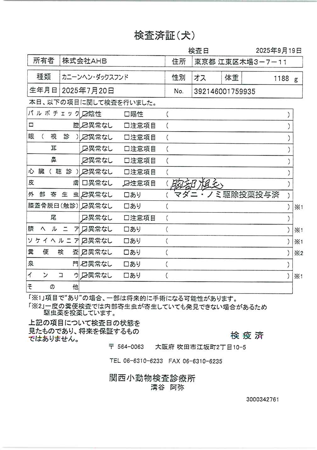 カニーンヘン・ダックスフンド