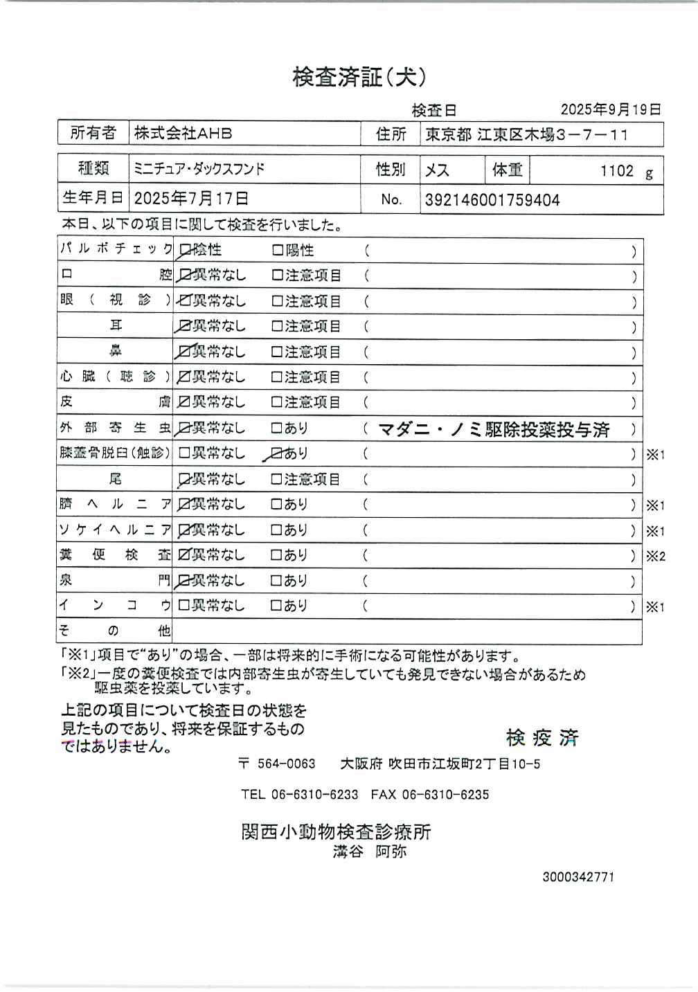 ミニチュア・ダックスフンド