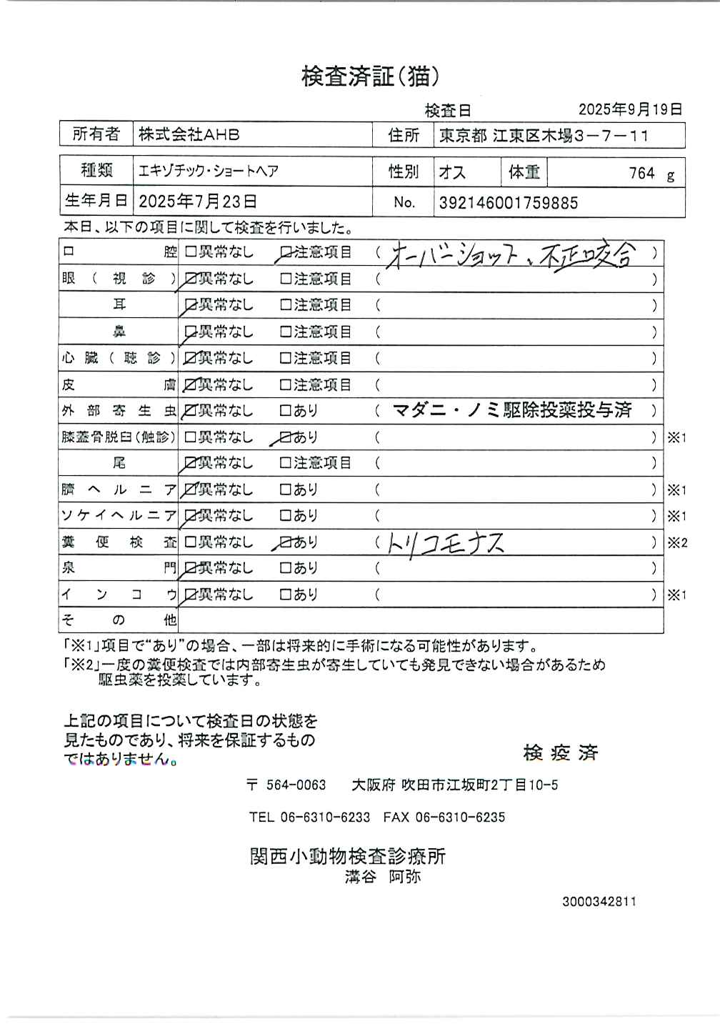 エキゾチック・ショートヘア
