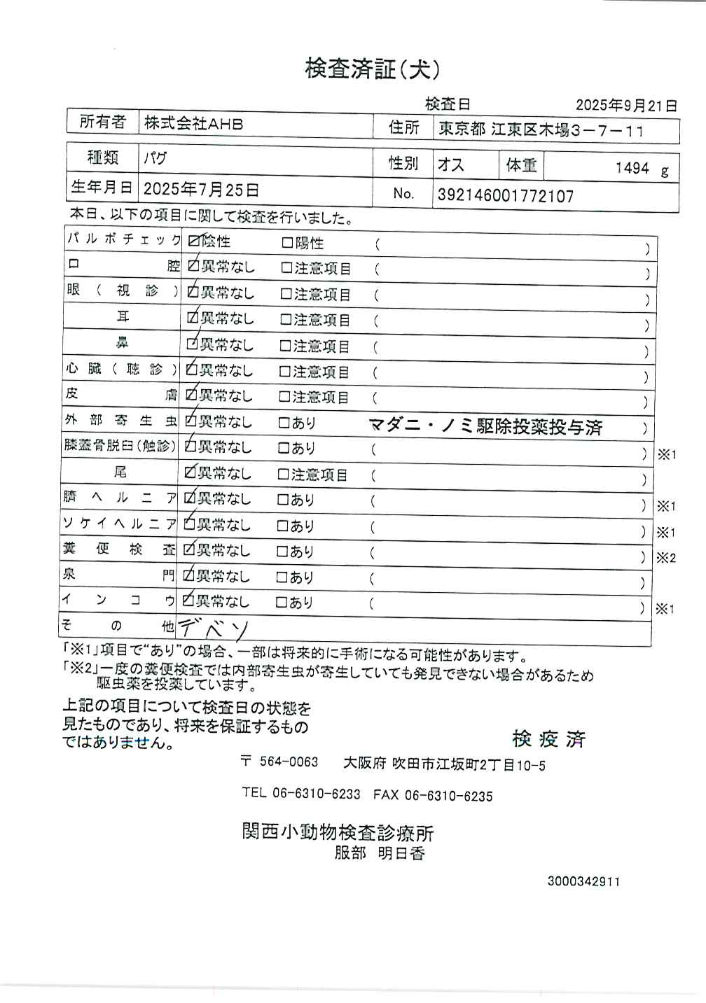 パグ