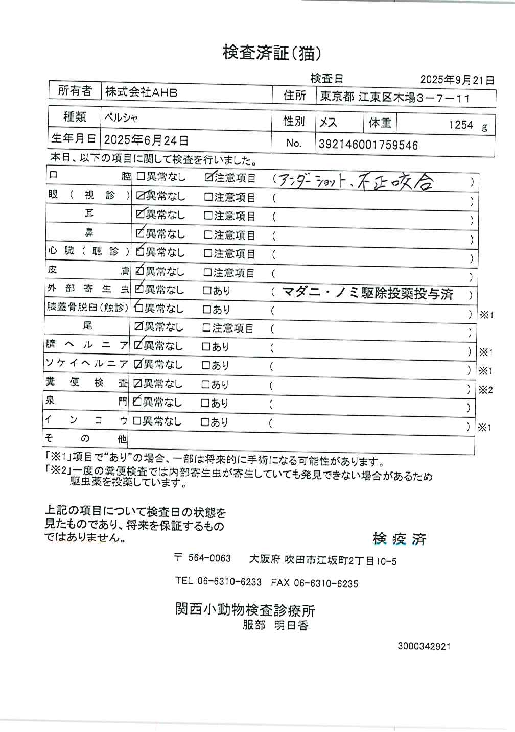 ペルシャ