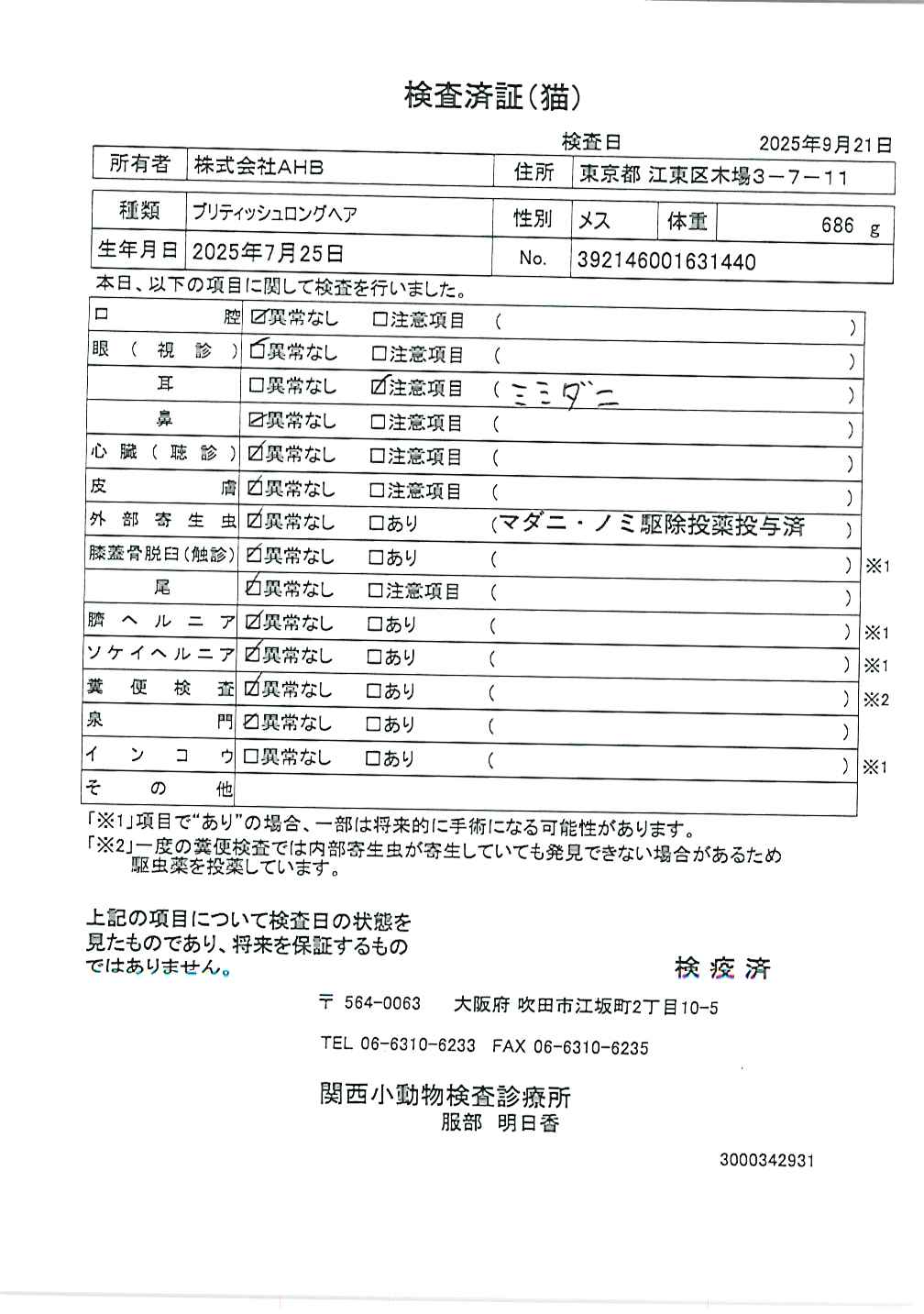 ブリティッシュロングヘア