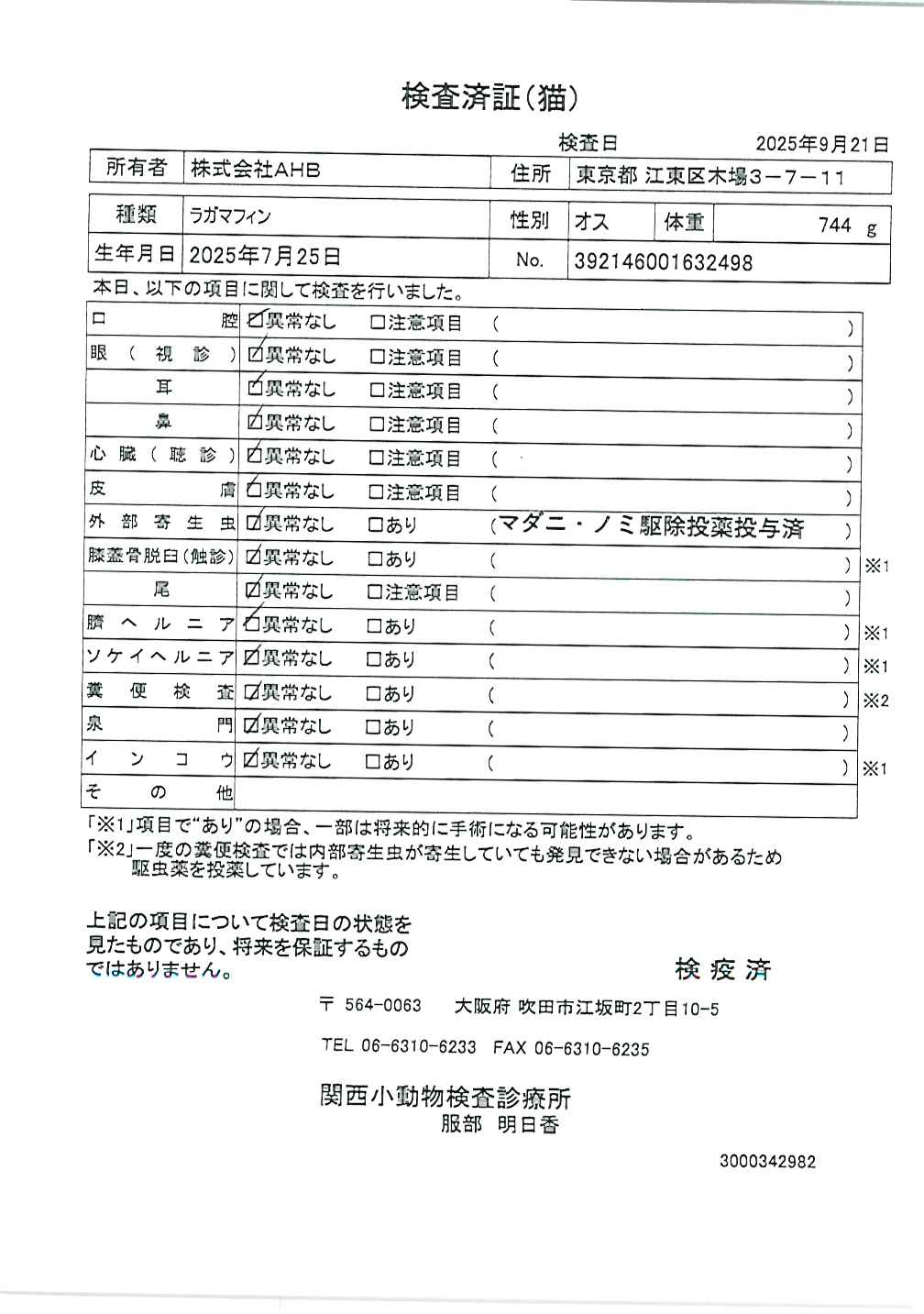 ラガマフィン