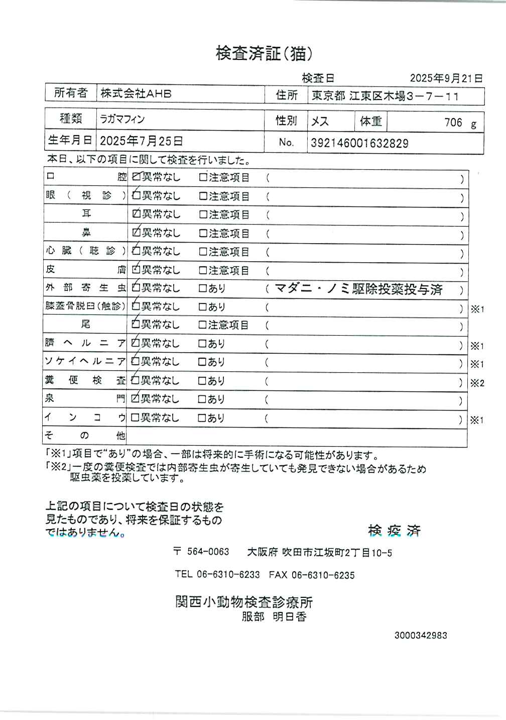 ラガマフィン
