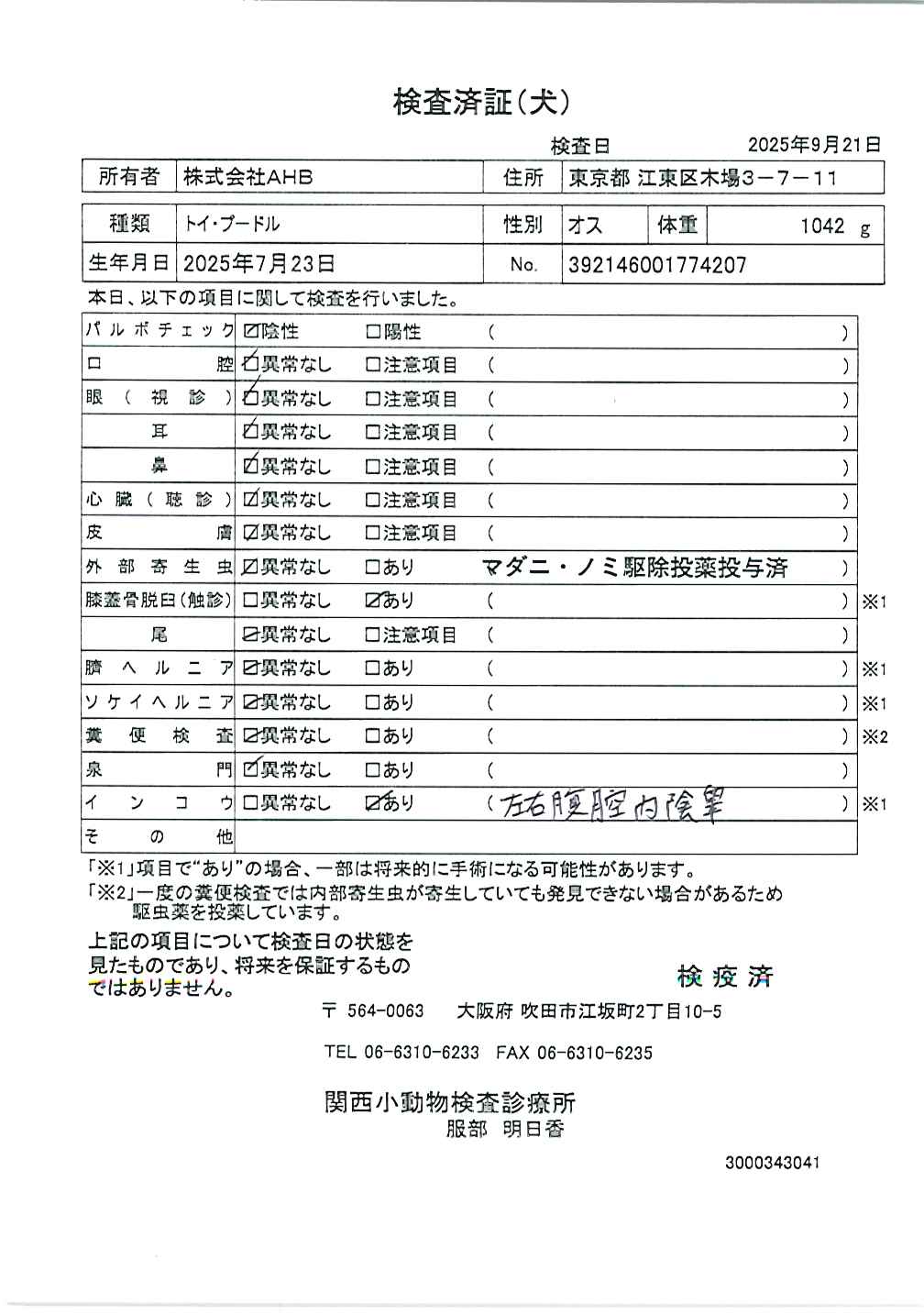 トイ・プードル