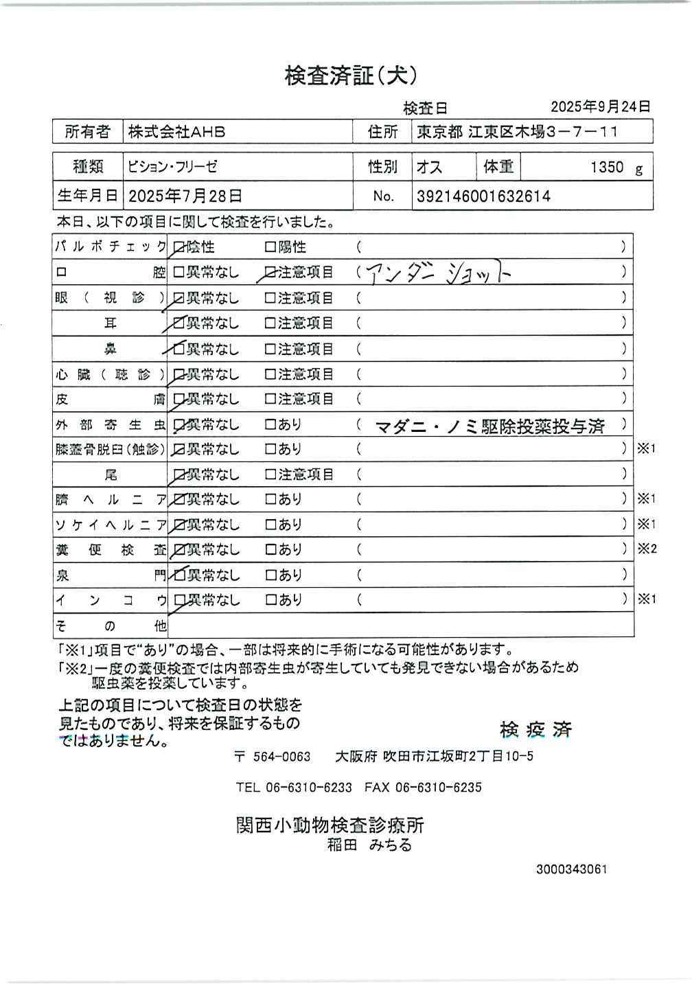 ビション・フリーゼ