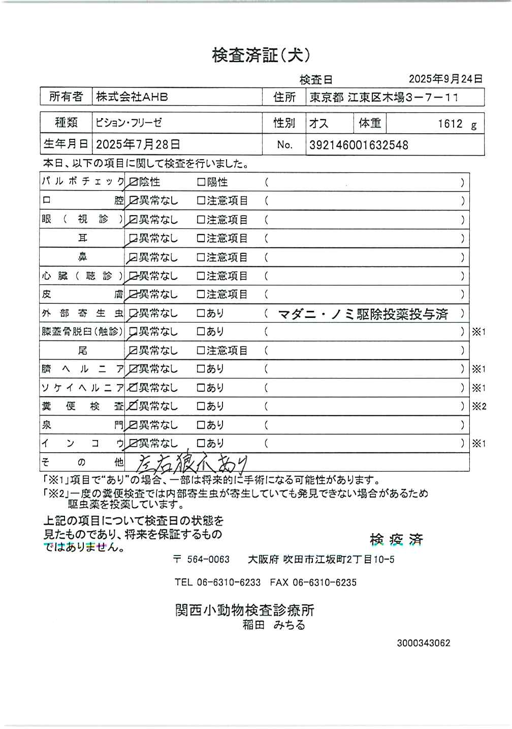 ビション・フリーゼ