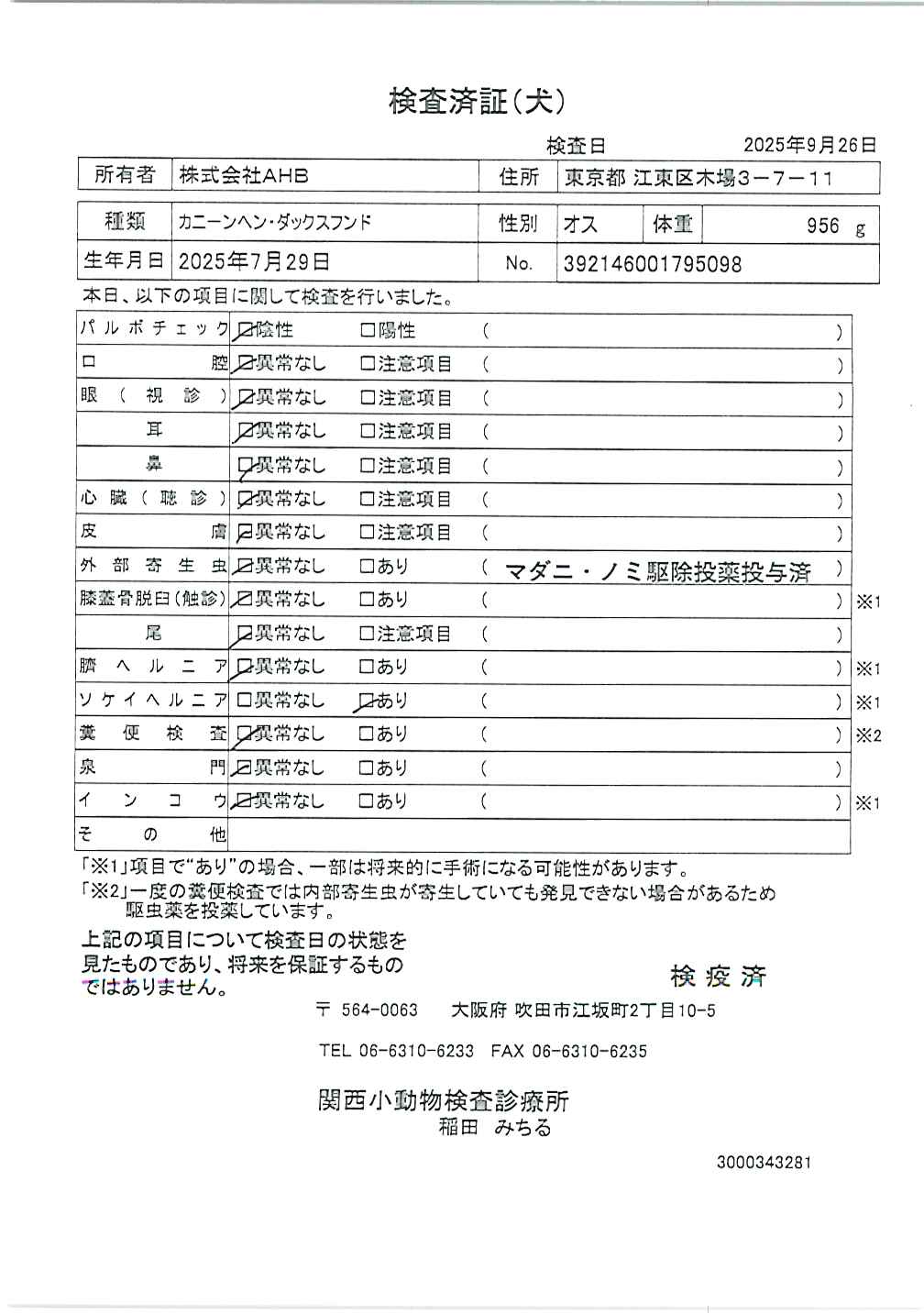 カニーンヘン・ダックスフンド