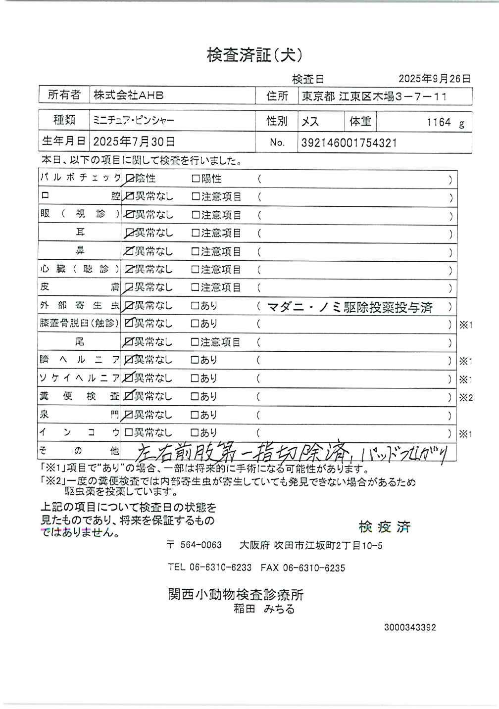 ミニチュア・ピンシャー