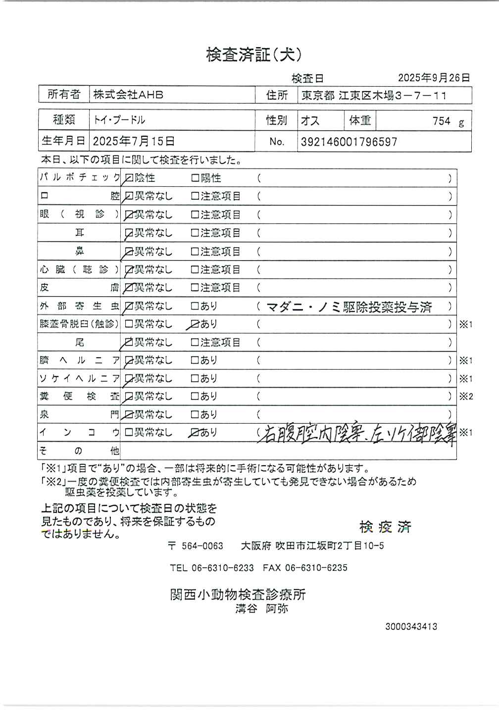 トイ・プードル