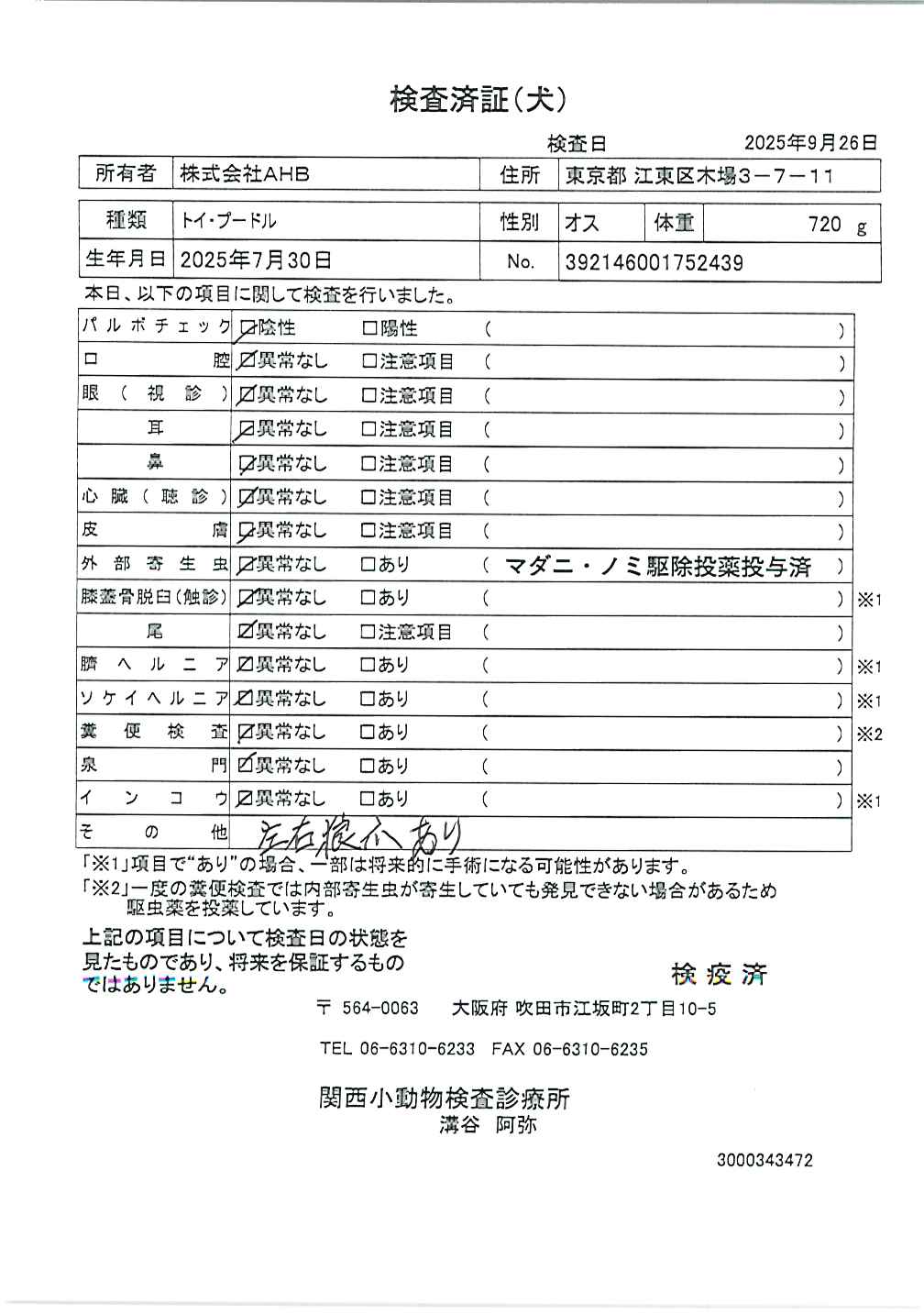 トイ・プードル