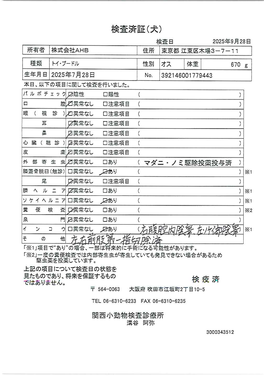 トイ・プードル