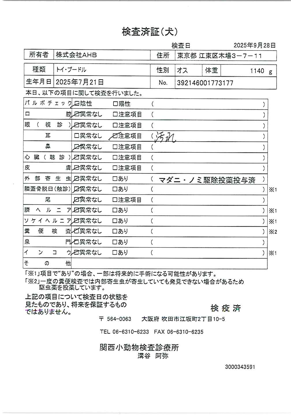 トイ・プードル