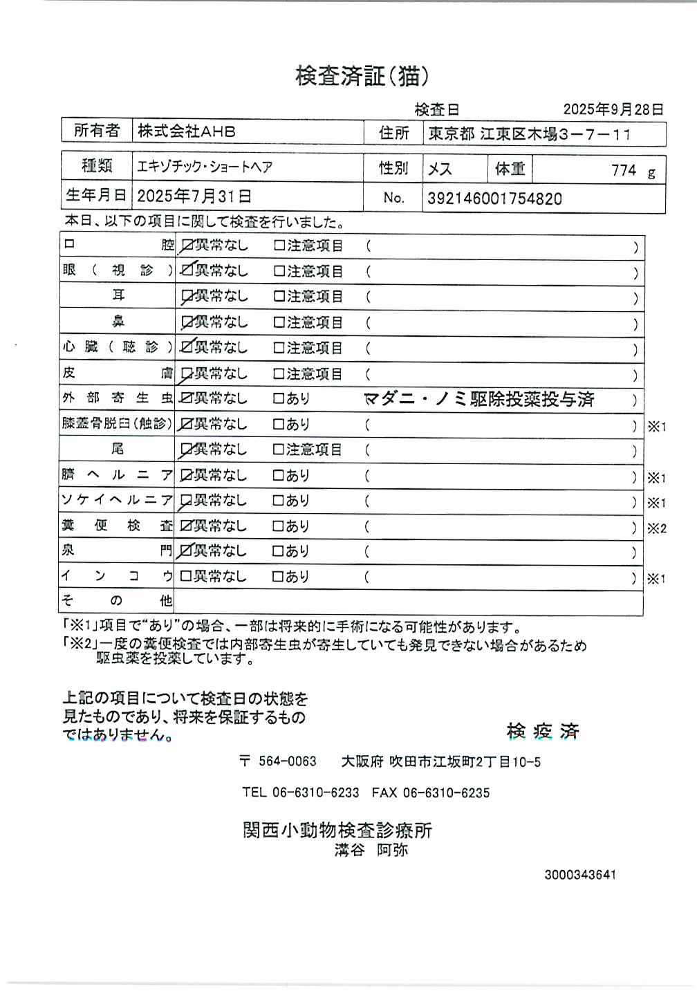 エキゾチック・ショートヘア