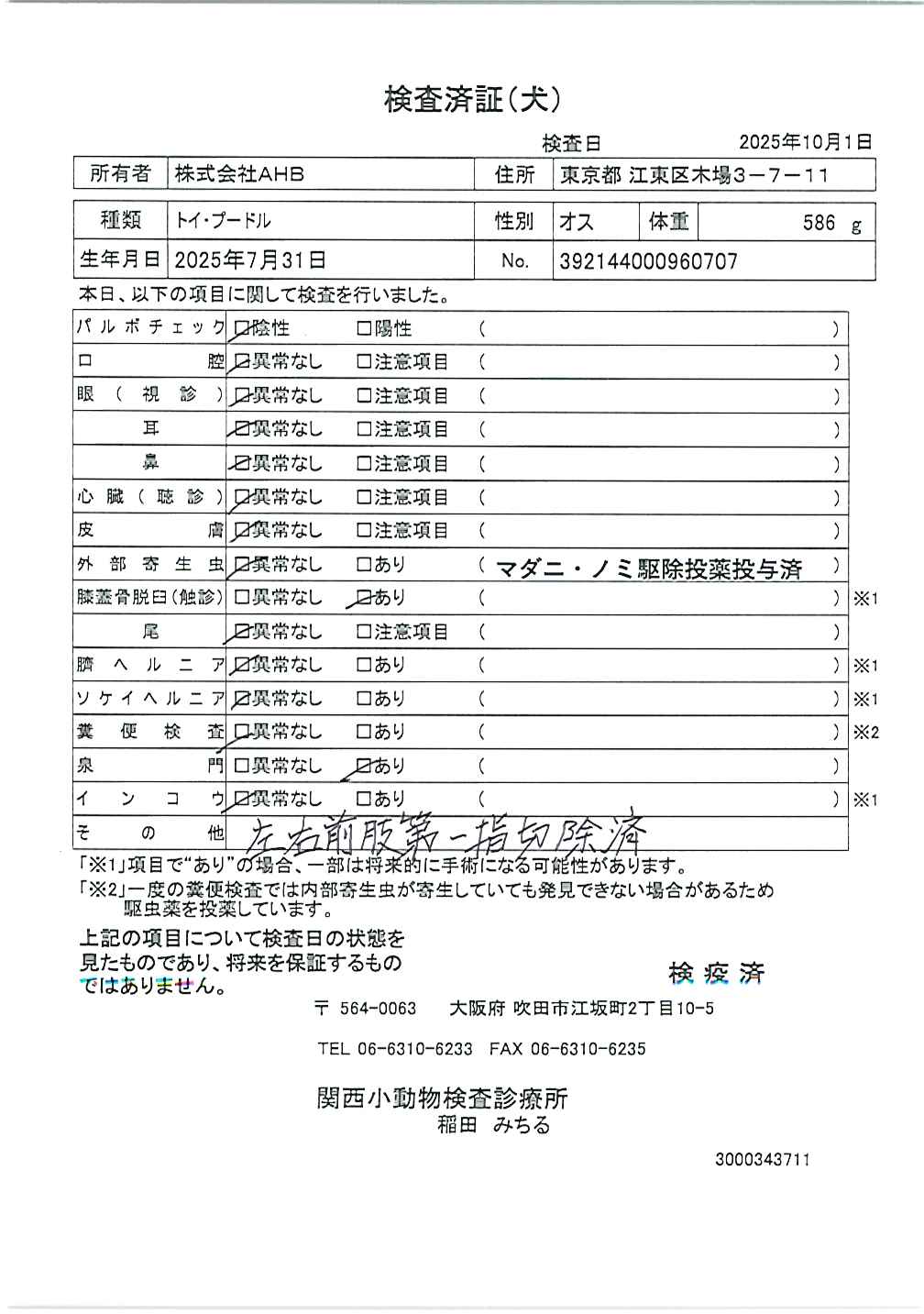 トイ・プードル