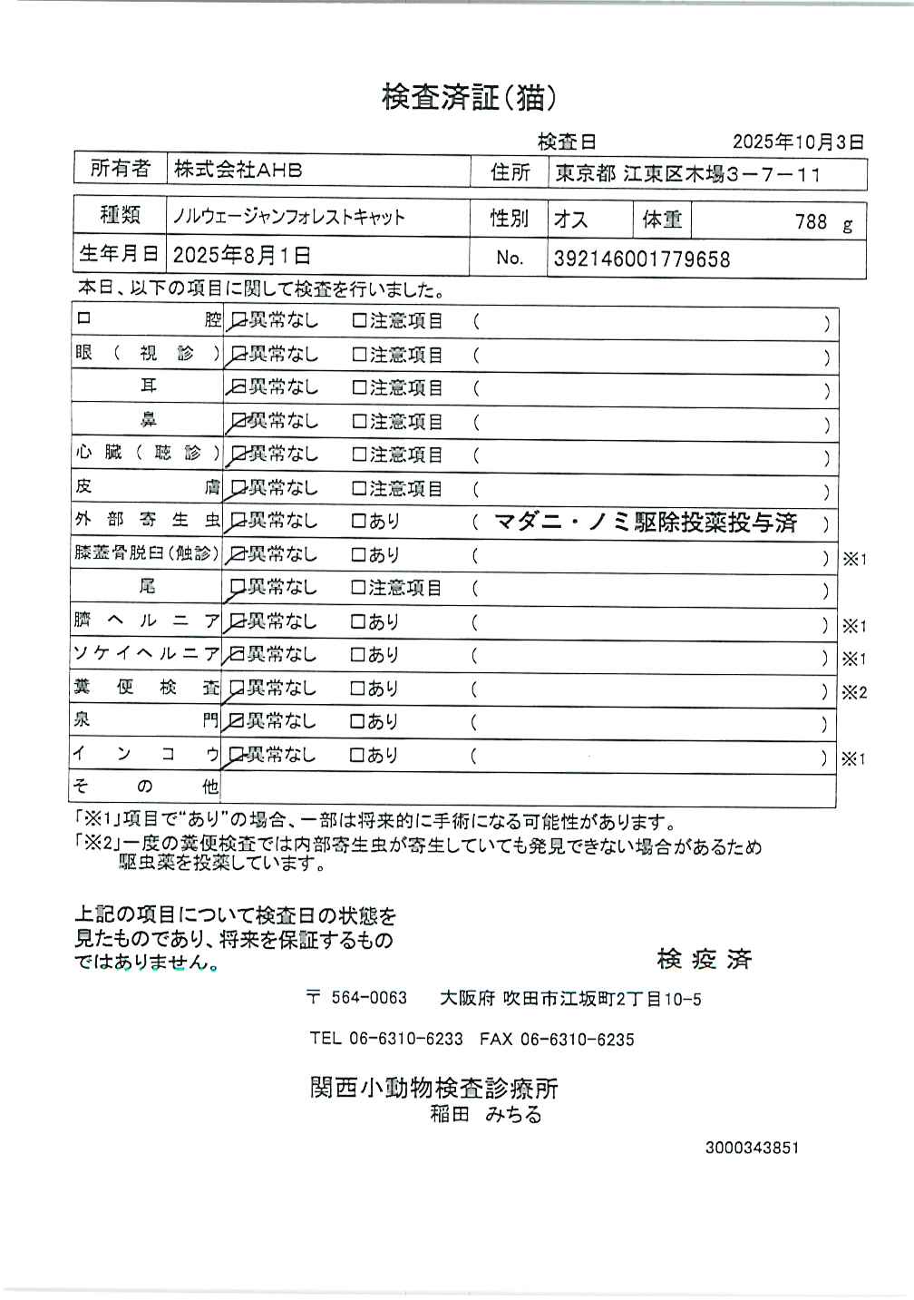 ノルウェージャンフォレストキャット
