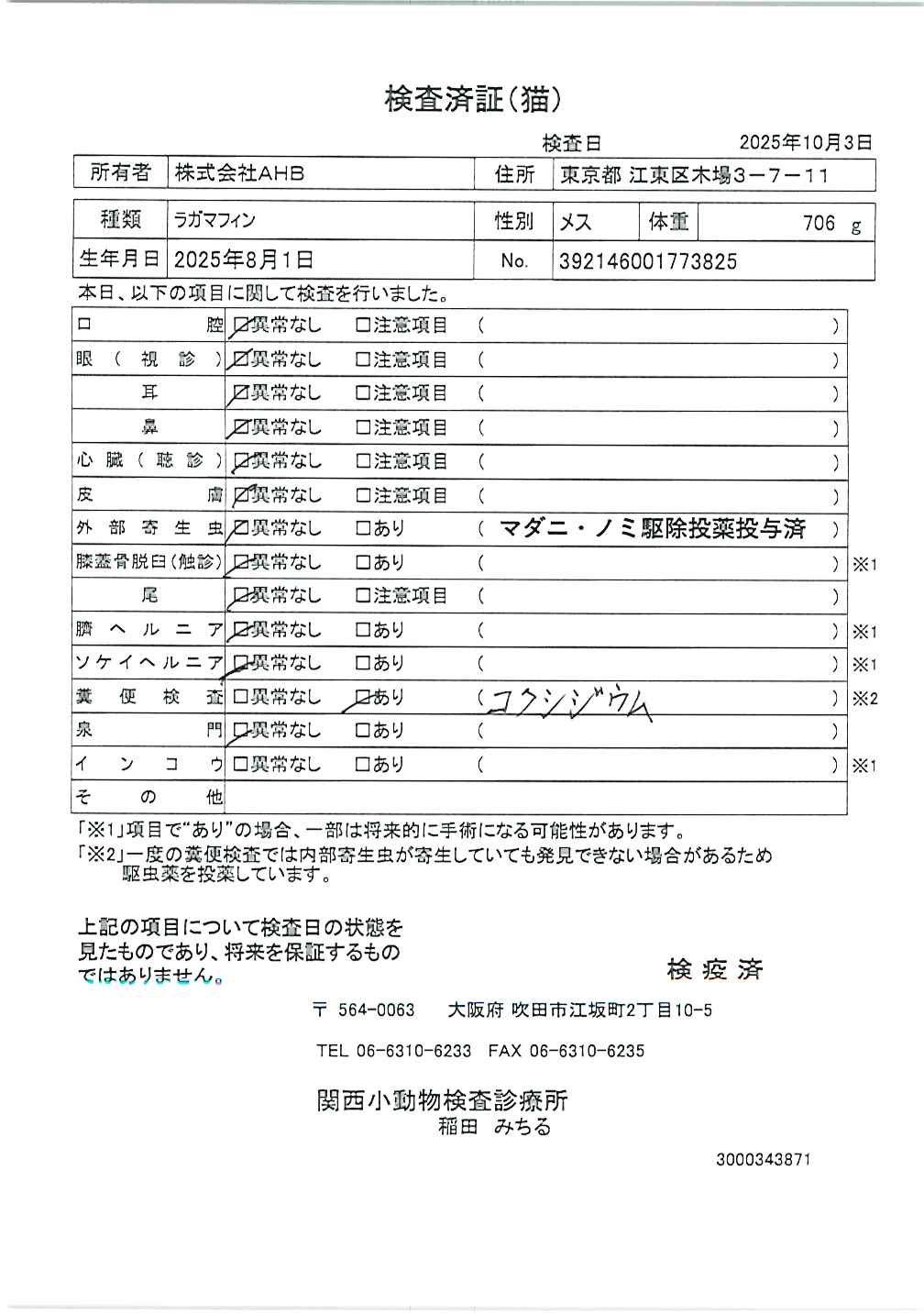 ラガマフィン