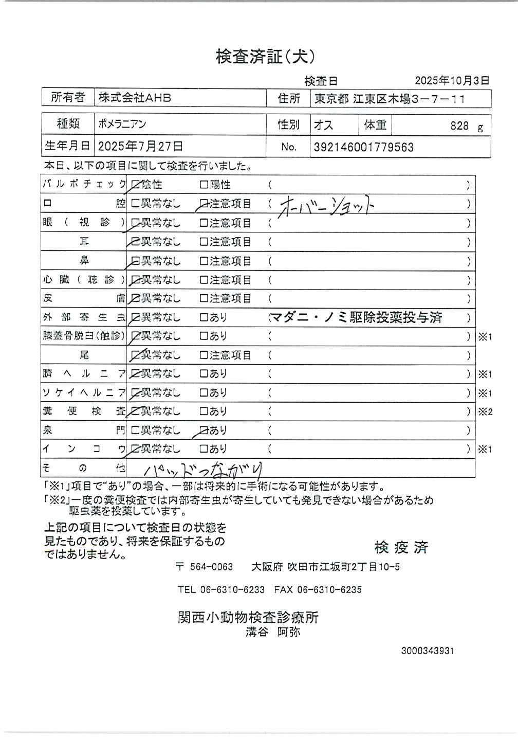 ポメラニアン