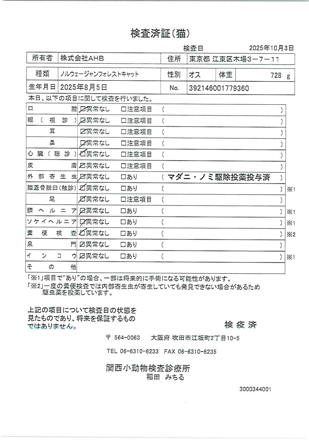 ノルウェージャンフォレストキャット