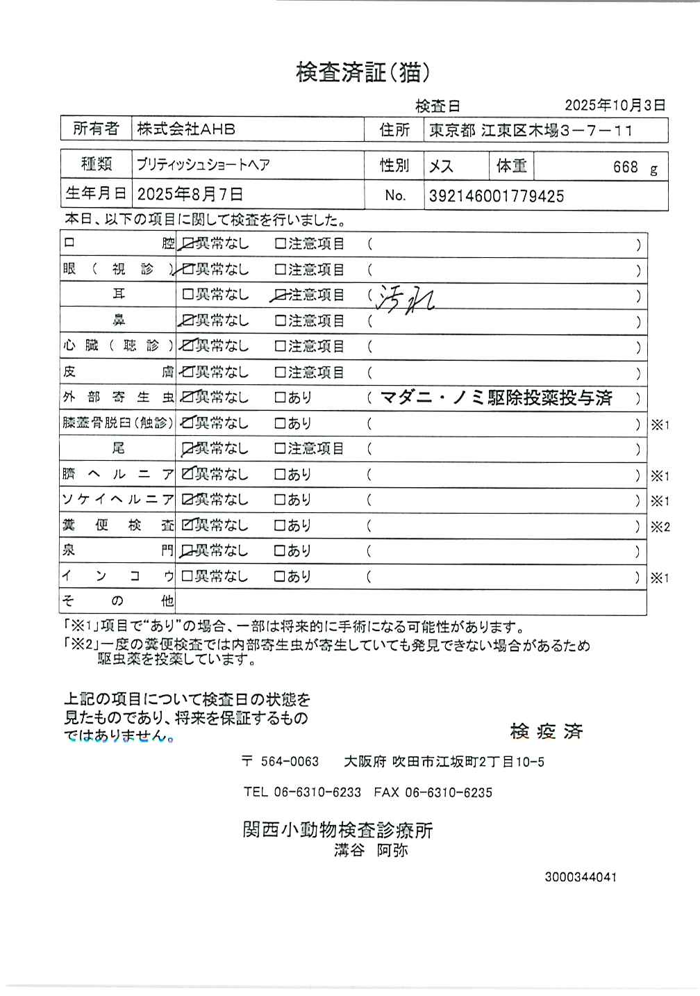 ブリティッシュショートヘア