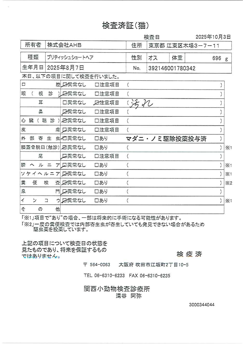 ブリティッシュショートヘア