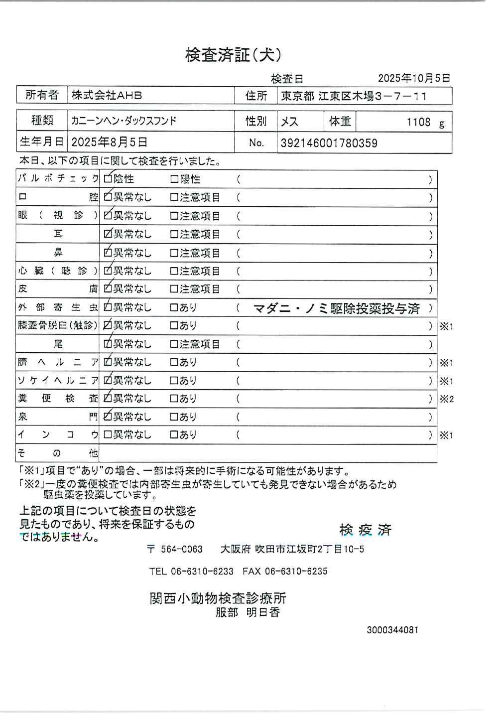 カニーンヘン・ダックスフンド