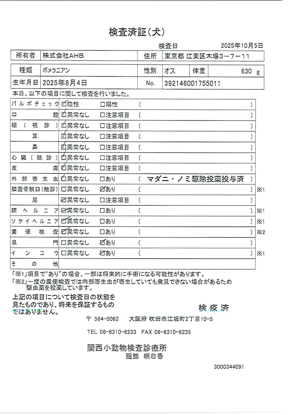 ポメラニアン