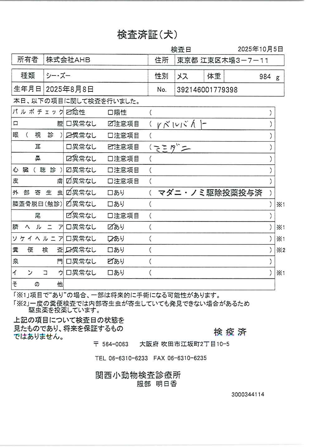 シー・ズー