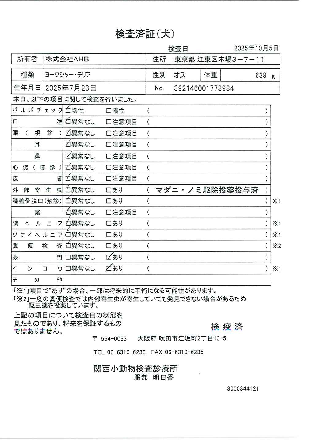 ヨークシャー・テリア