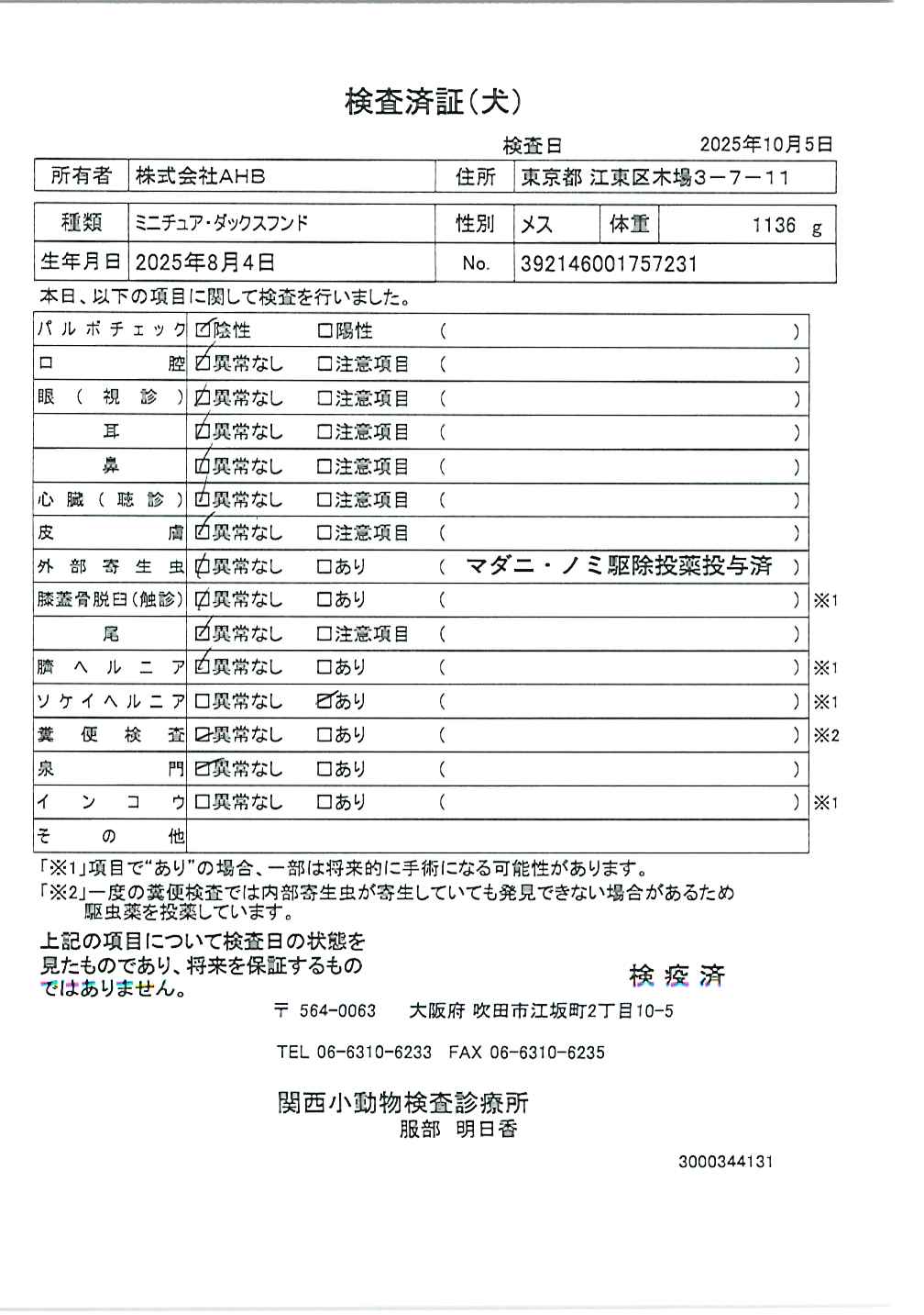 ミニチュア・ダックスフンド