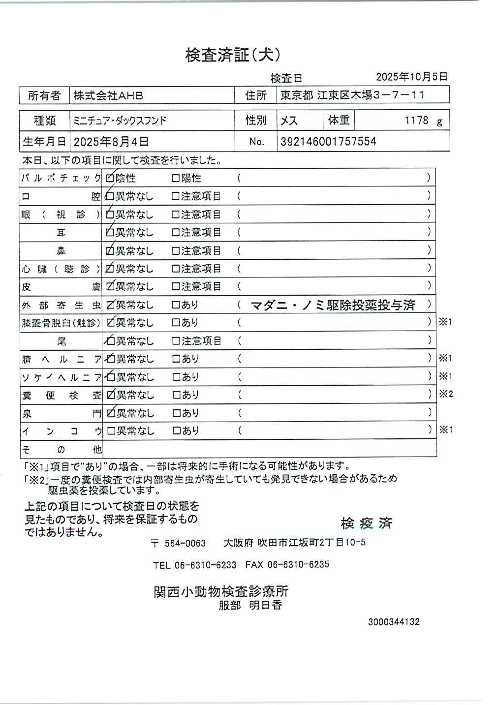 ミニチュア・ダックスフンド