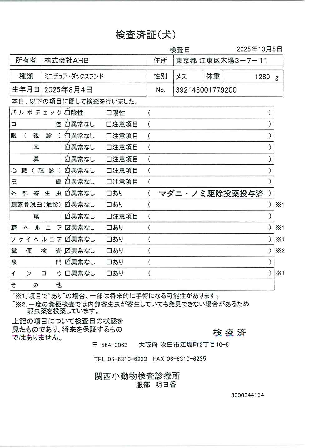 ミニチュア・ダックスフンド