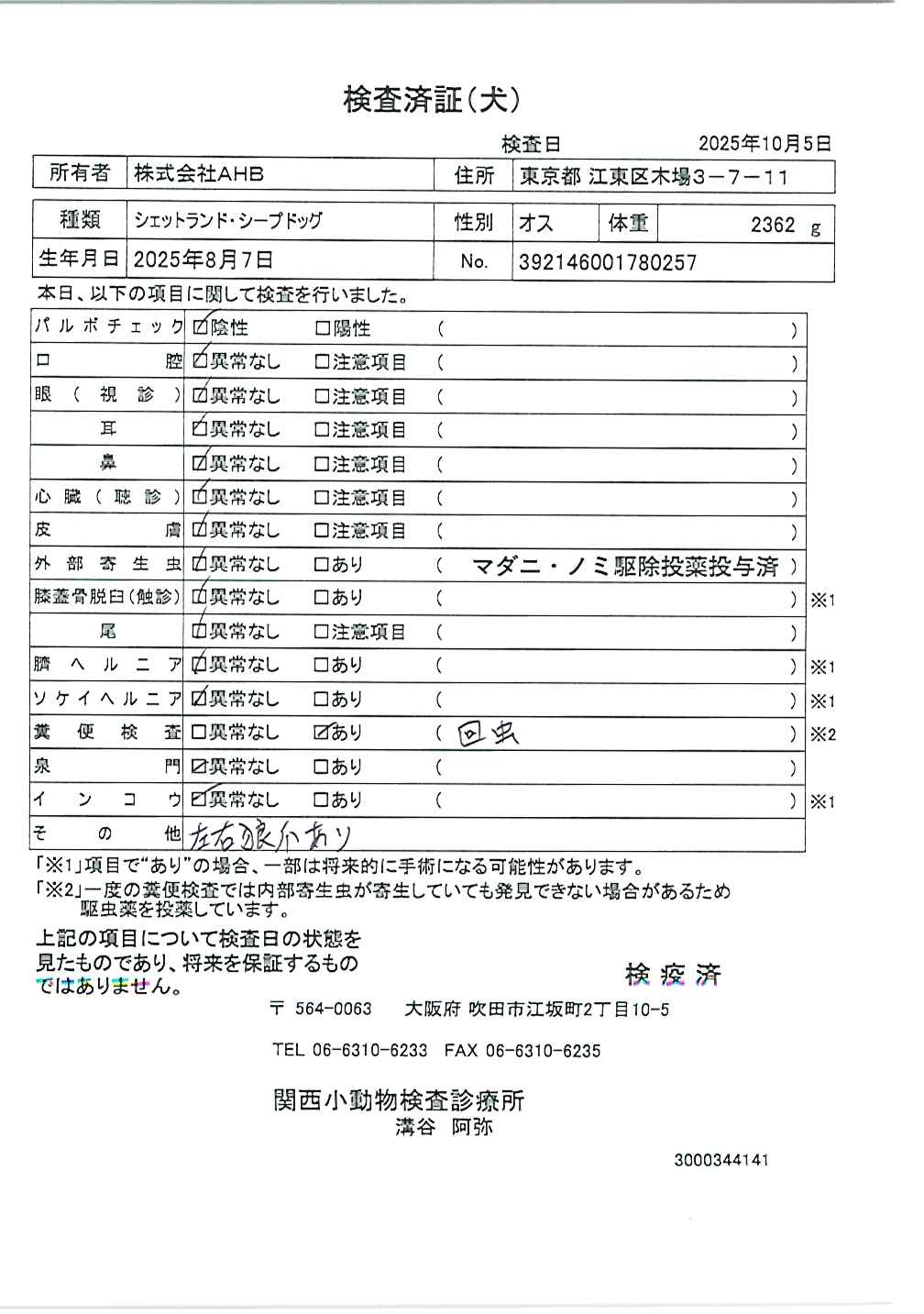 シェットランド・シープドッグ