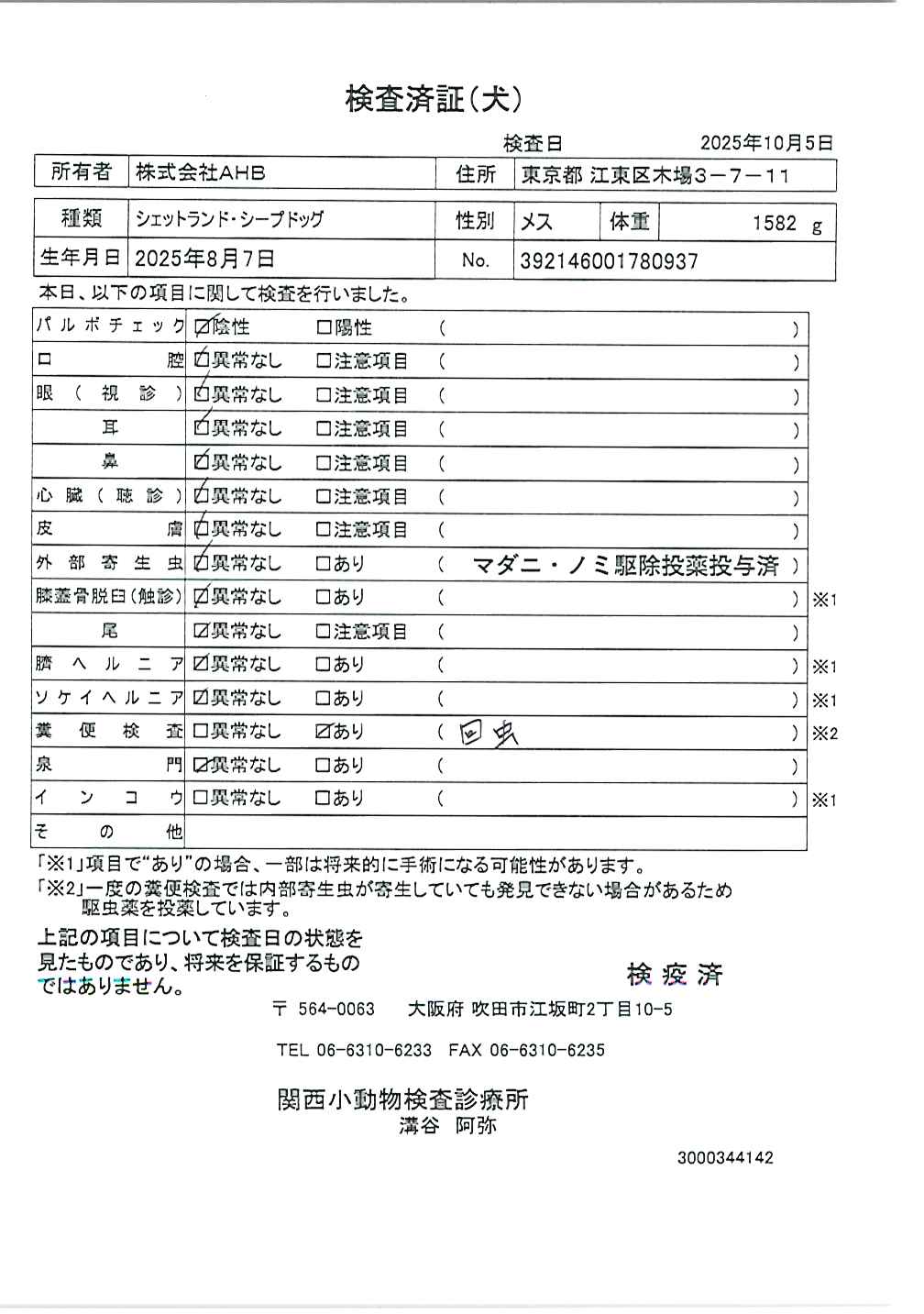 シェットランド・シープドッグ