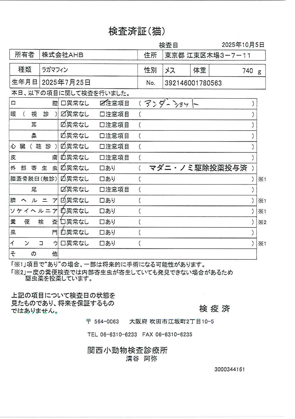 ラガマフィン