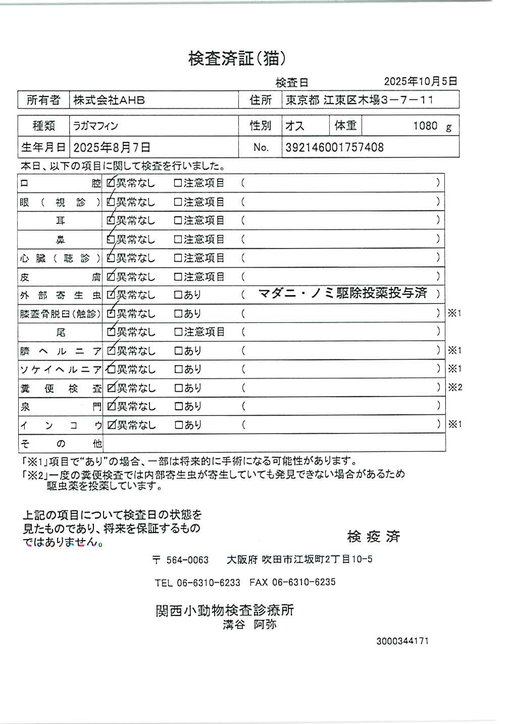 ラガマフィン