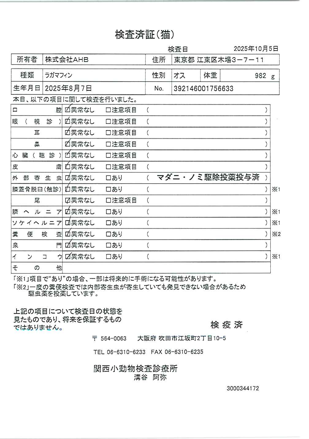 ラガマフィン