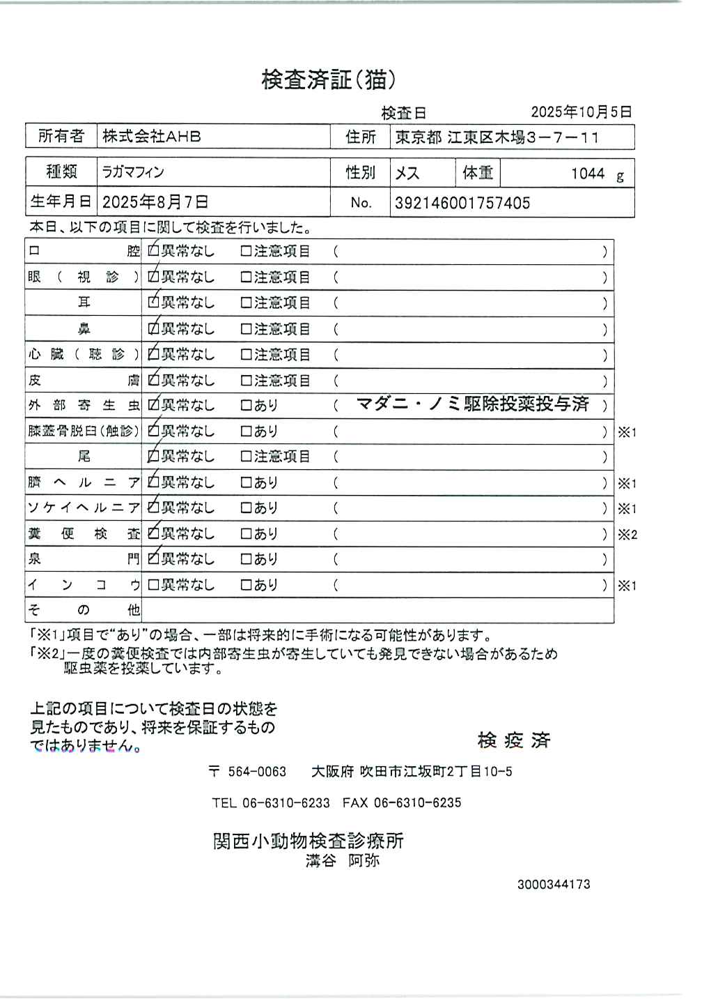 ラガマフィン