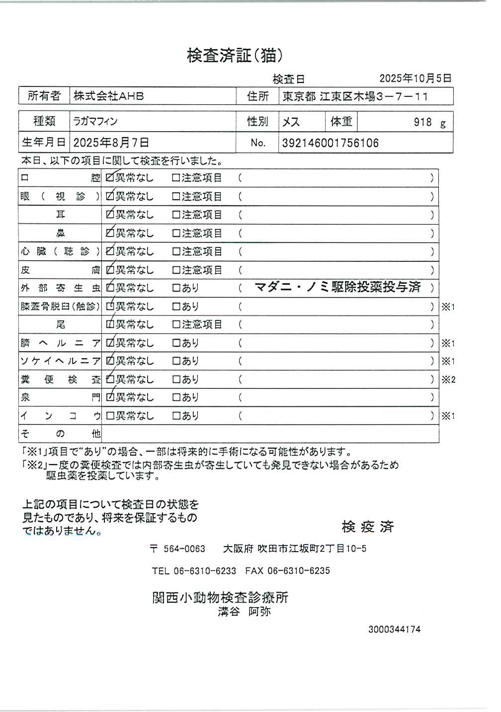 ラガマフィン