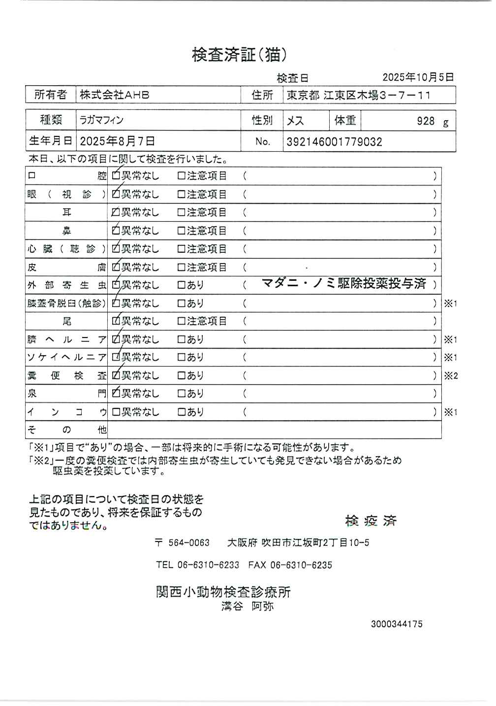 ラガマフィン