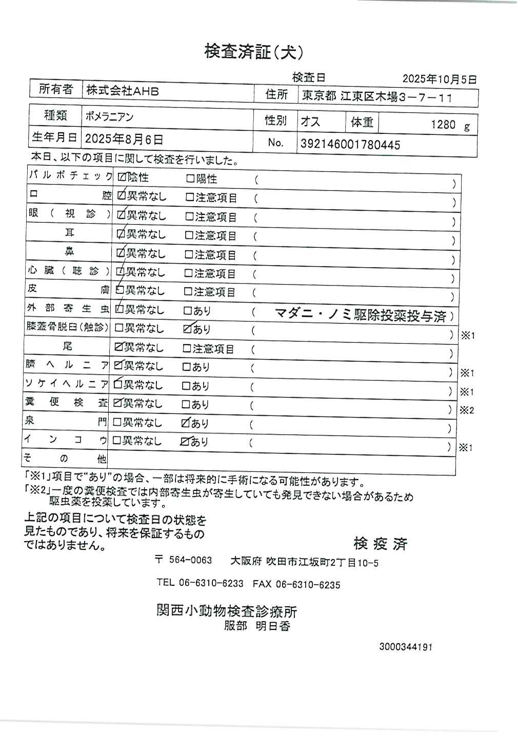 ポメラニアン