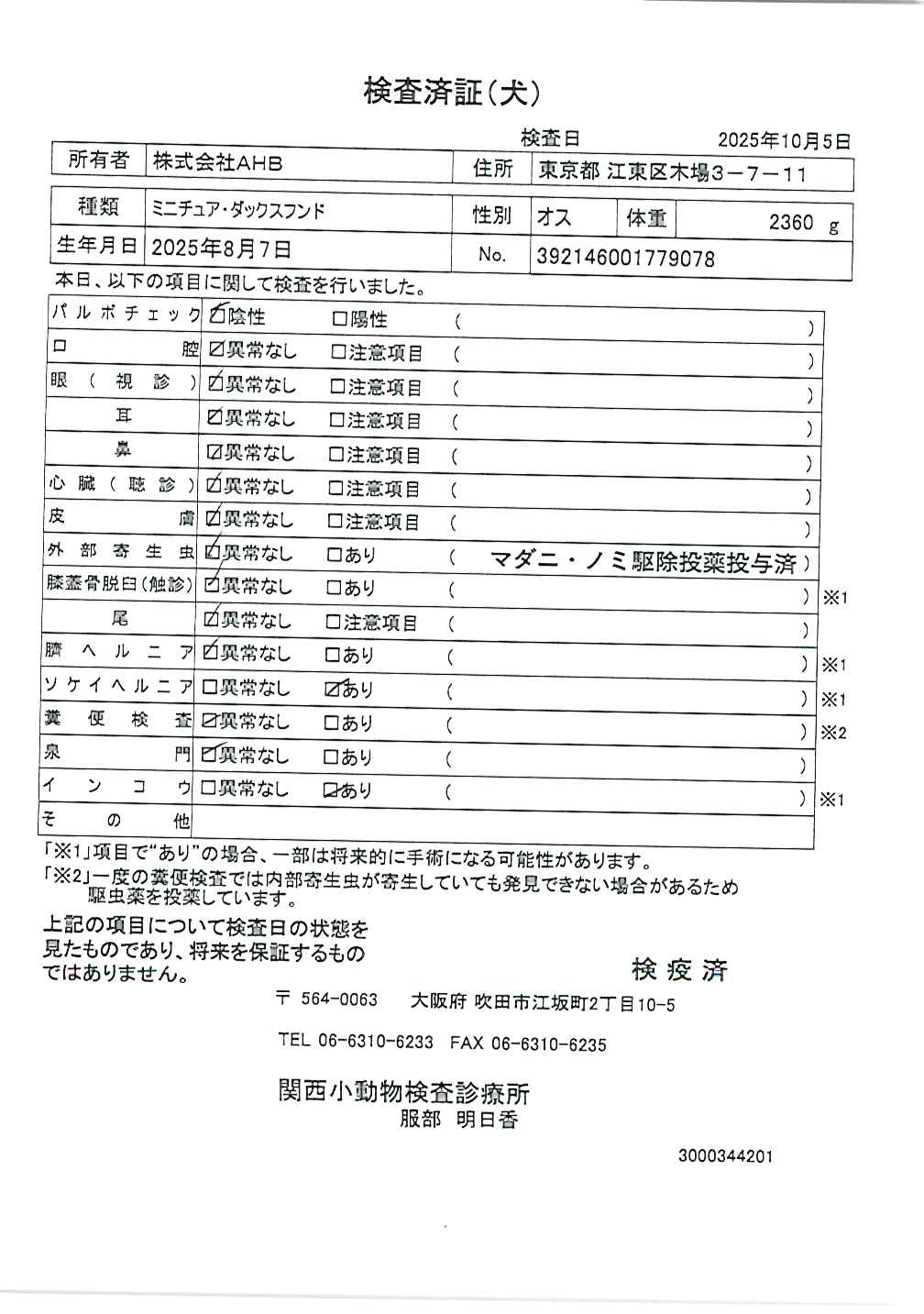 ミニチュア・ダックスフンド